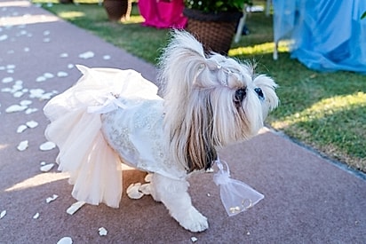 O momento em que Nina olha para o fotógrafo.