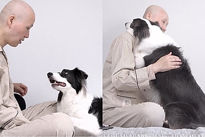 Ao ver a tutora de cabelo raspado, cachorra reage de forma que comove a internet.