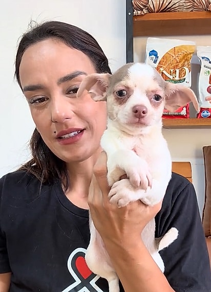 O cão foi dado como presente e acabou devolvido por não atender às expectativas estéticas que a presenteada queria.