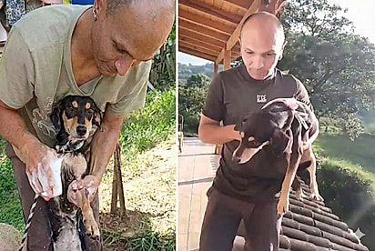 “Pior adoção de todos os tempos”: ONG resgata cachorrinha deixada sozinha, amarrada e em meio à sujeira poucos dias após ser adotada