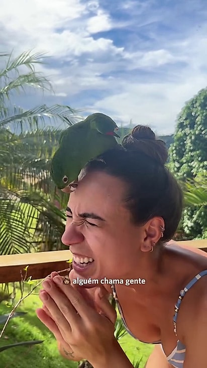 A maritaca decidiu que não iria mais embora.