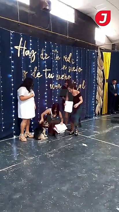 O cão acompanhou os alunos todas as manhãs letivas.