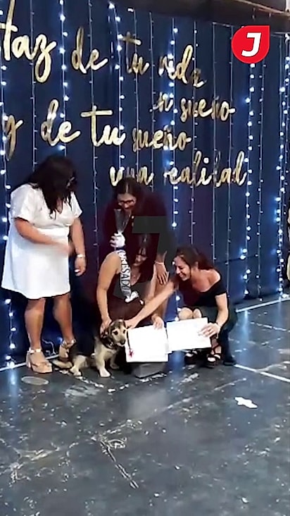O cãozinho foi presenteado na formatura.