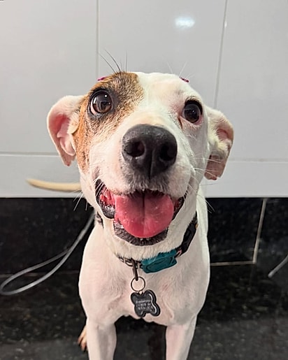 Lois foi abandonada para morrer.