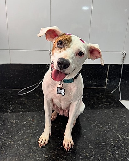 Mesmo com tudo o que viveu, Lois mostrou o quanto é doce, carinhosa e cheia de amor para dar.