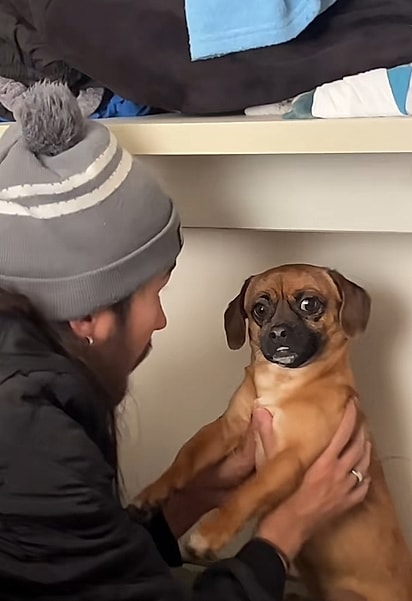 A cada frase, Alfredo parecia mais confuso.