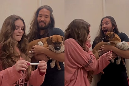 Alfredo ficou confuso quando os tutores descobriram a gestação.