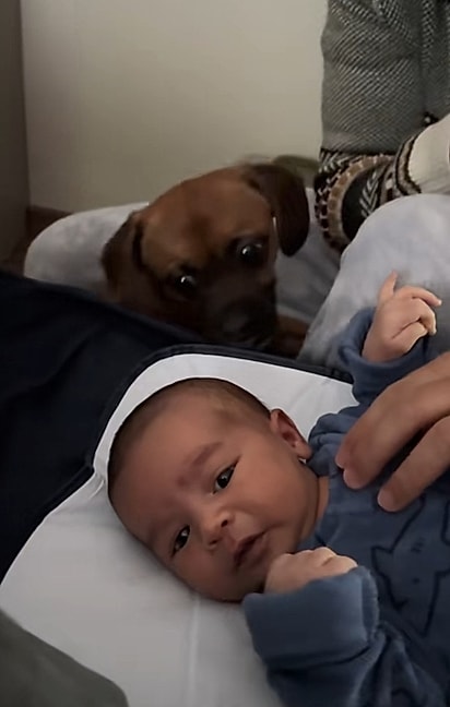 Alfredo tentando entender o que Eloy é.