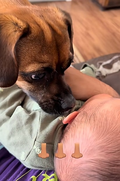 Alfredo cheirando o bebê Eloy.