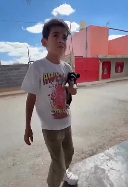 Emiliano não cogitou deixar a cachorrinha para trás e mostrou que empatia não tem idade.