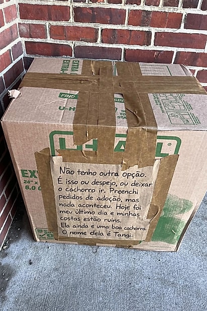 A cachorrinha foi abandonada junto com um bilhete.