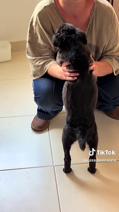 A tutora acredita que foi o destino.