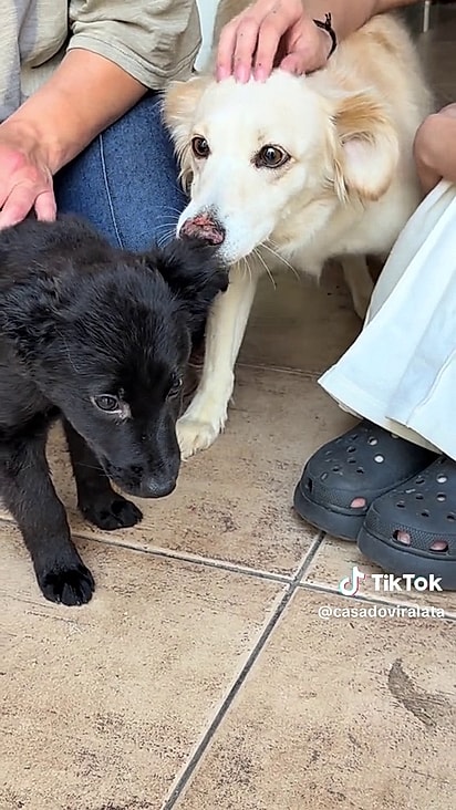 Agora ela considera a família completa.