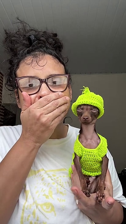 O cãozinho parecia um bonequinho.