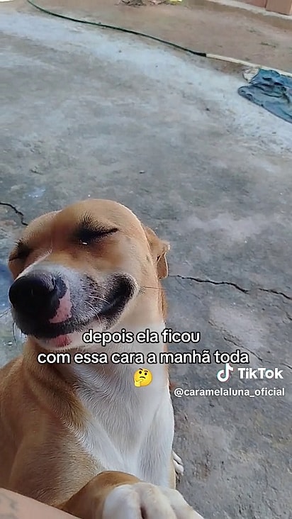 O tutor não resiste ao charme de Luna.