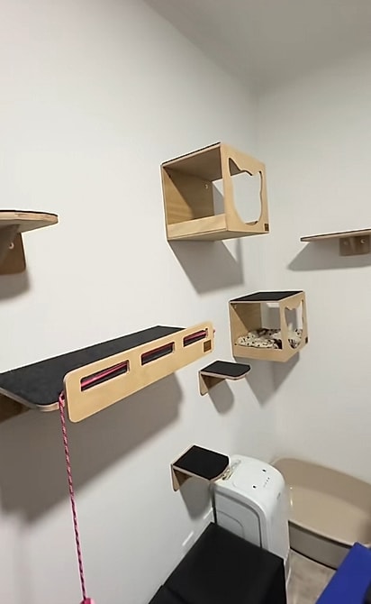 O casal preparou um quarto para deixar os novos moradores isolados. 