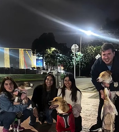 As cachorrinhas foram resgatadas das ruas por Ingrid Porras e adotadas por famílias amorosas.