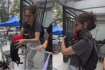 Cachorrinha pula no colo de visitante e consegue a “adoção mais rápida” da feirinha
