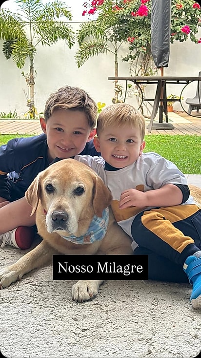 Com amor, Baloo reencontrou a vontade de viver.