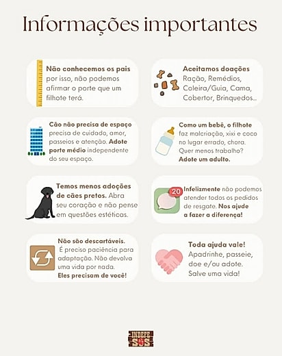 Informações que a que a ONG fornece para os candidatos à adoção.