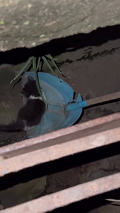 O casal não pensou duas vezes antes de resgatá-lo.