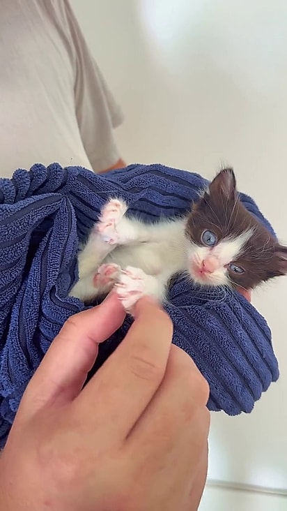 George tomou banho e ganhou uma ótima refeição.