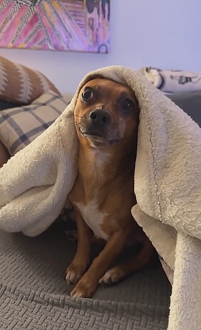 Não havia dúvidas de que ele já havia sido amado.