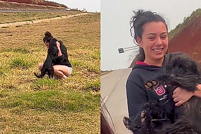 “Você pega na rua igual pokemon”: irmãs resgatam cão abandonado em rodovia movimentada