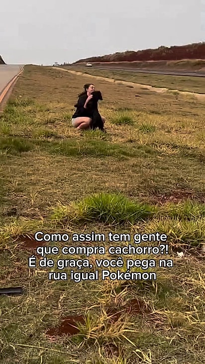 Amanda e Drica pararam imediatamente quando avistaram o cão.