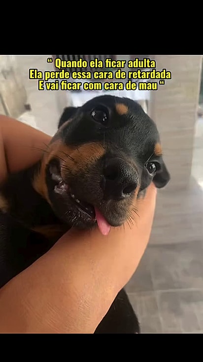 Ela nunca mudou a personalidade.