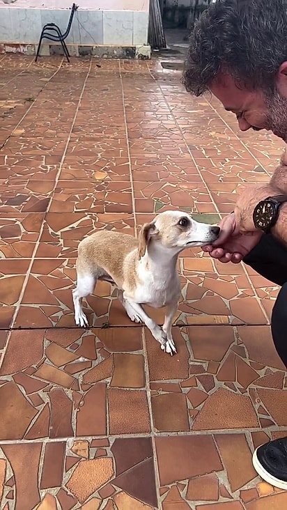 Bidu se adaptou bem ao novo lar.