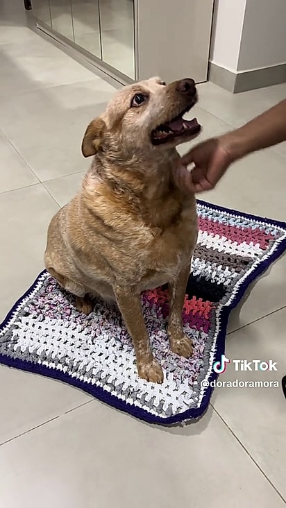 Marvin adorou o presente de sua avó.