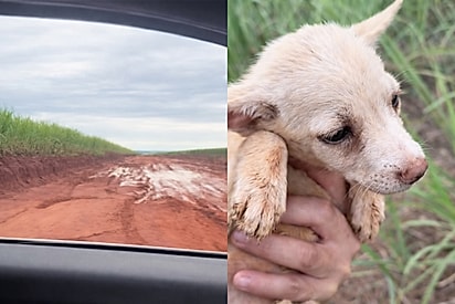 “Deus atolou meu carro”: ao trocar de rota em estrada de terra, homem avista duas vidinhas à beira da estrada precisando de ajuda.