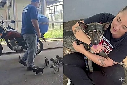 Cachorrinha resgatada com seus filhotes espera há mais de 16 meses pelo seu lar para sempre.