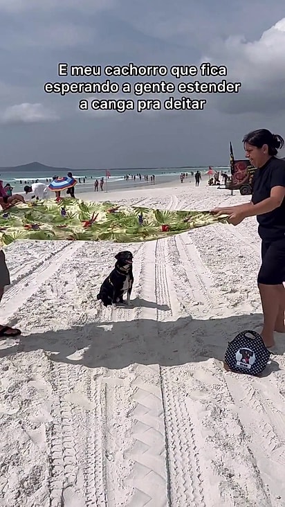Oreo prefere deitar em cima da canga.