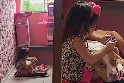 Garotinha abre mão de presente para pedir cama para a cachorra e atitude emociona a web