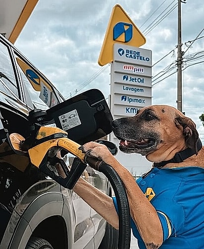 Matuê virou garoto propaganda do posto. 