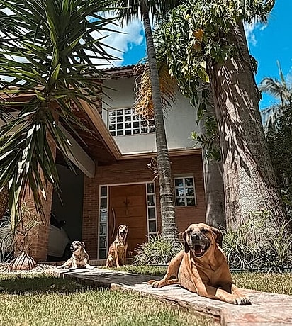Hoje, Matuê e os irmãos caninos moram em uma casa com um quintal enorme.