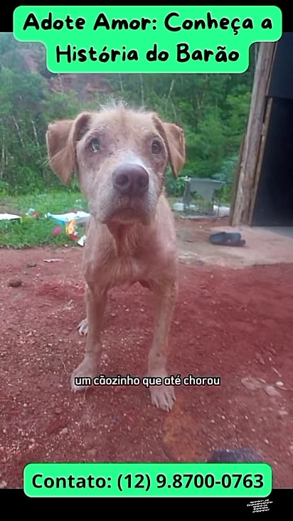 Barão foi encontrado muito debilitado.