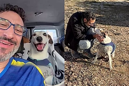 Cão que esperou dois anos em abrigo é adotado e viaja dois mil quilômetros para novo lar