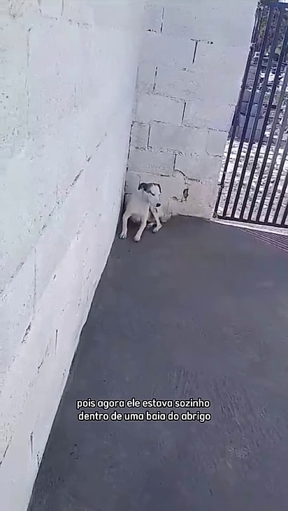 Gabriel mal podia esperar pela família certa.