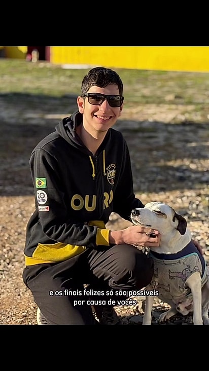 O cão se adaptou muito bem ao novo lar.