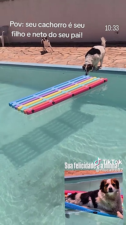 Kinder sabia exatamente como usar a boia.