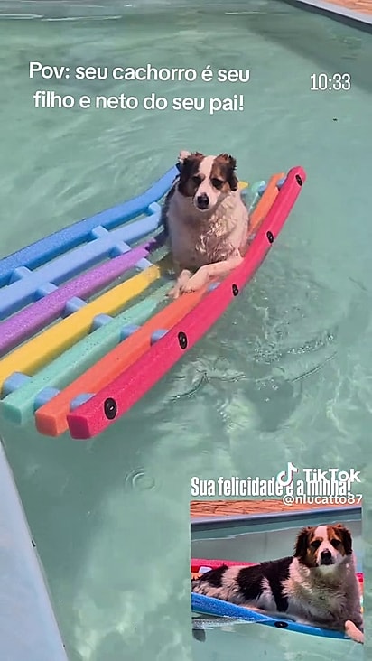 A família adora fazer as vontades do pet.