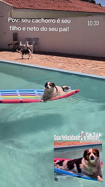 Ele adora deitar na boia para se refrescar.