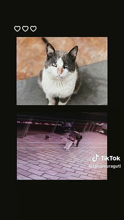 Max se tornou um herói.