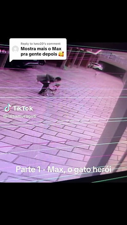 O gatinho costumava ficar na portaria por isso conseguiu intervir no ataque.