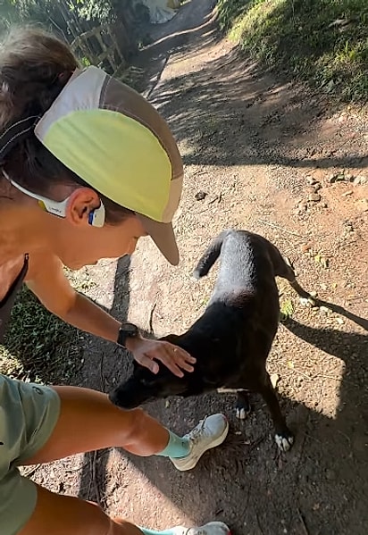 O cão foi até ela para pedir carinho.
