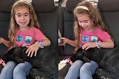 Reencontro de almas: Menininha que queria um cachorro é escolhida por cão de rua
