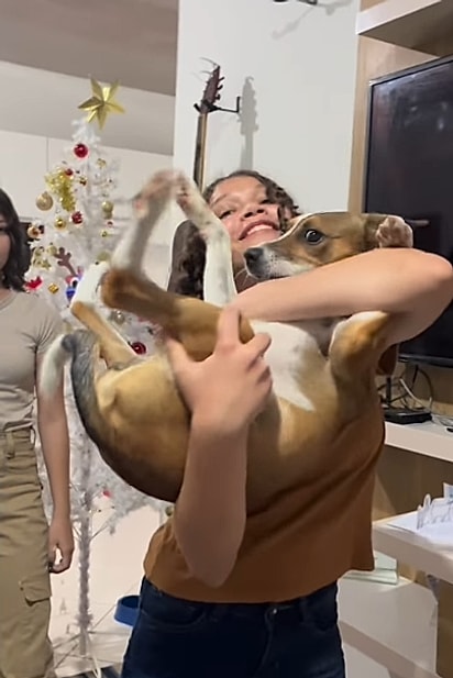 Serafino não queria parar quieto.